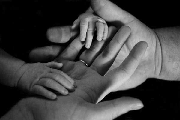 abogados de familia en bogotá